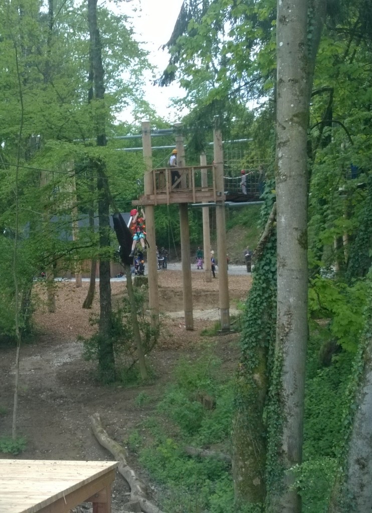 WP_20150510_13_46_22_Pro (2)